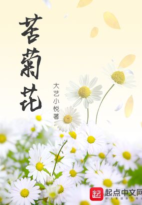 苦菊花