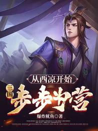 三国：从西凉开始，步步为营段攸